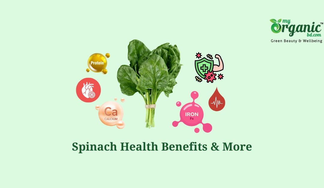Secret Strengths of Spinach Nutrition, Health Benefits & More