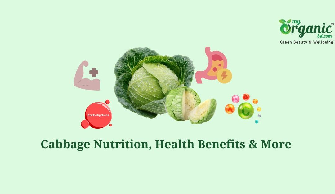 The Cozy Cabbage Nutrition, Health Benefits & More