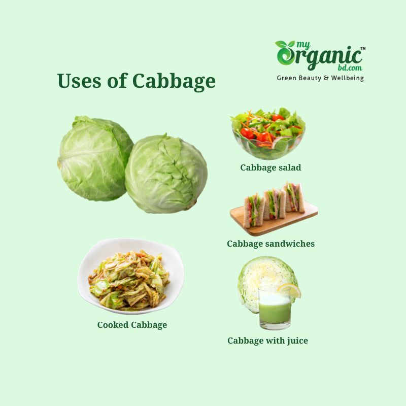 Amazing Cozy Cabbage: Nutrition, Health Benefits & More 8 Uses Of Cabbage