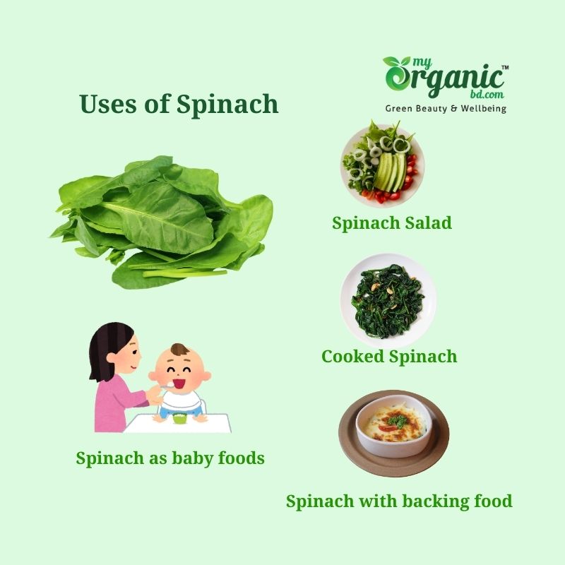Secret Strengths of Spinach: Nutrition, Health Benefits & More 6 Uses Of Spinach