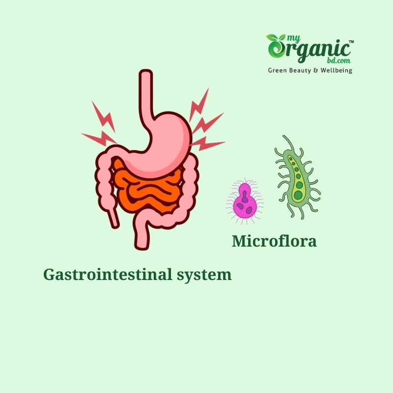 Best Diet for Gut health : Foods & Supplements to Improve Your Gut 1 What Is Gut Health?