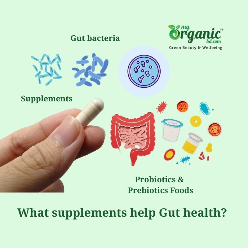 Best Diet for Gut health : Foods & Supplements to Improve Your Gut 6 What Supplements Help Gut Health Most?