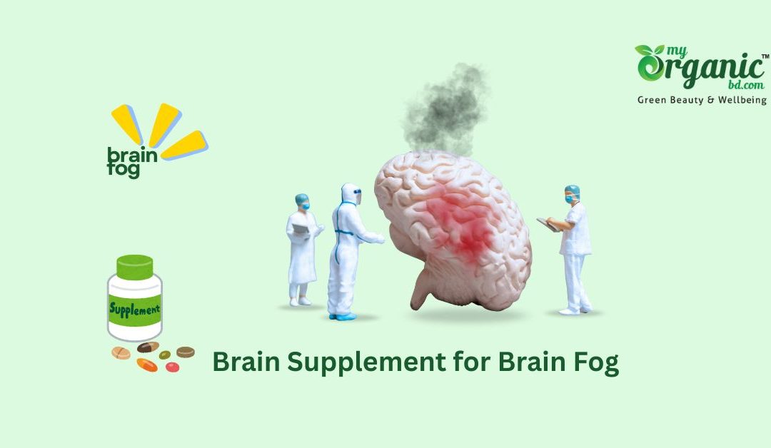 11 Best Supplements for Brain Fog : A Science-Backed Review