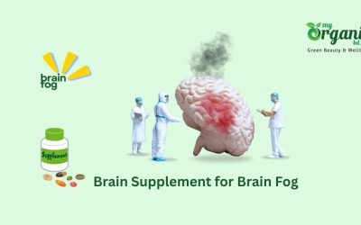 11 Best Supplements For Brain Fog : A Science-Backed Review