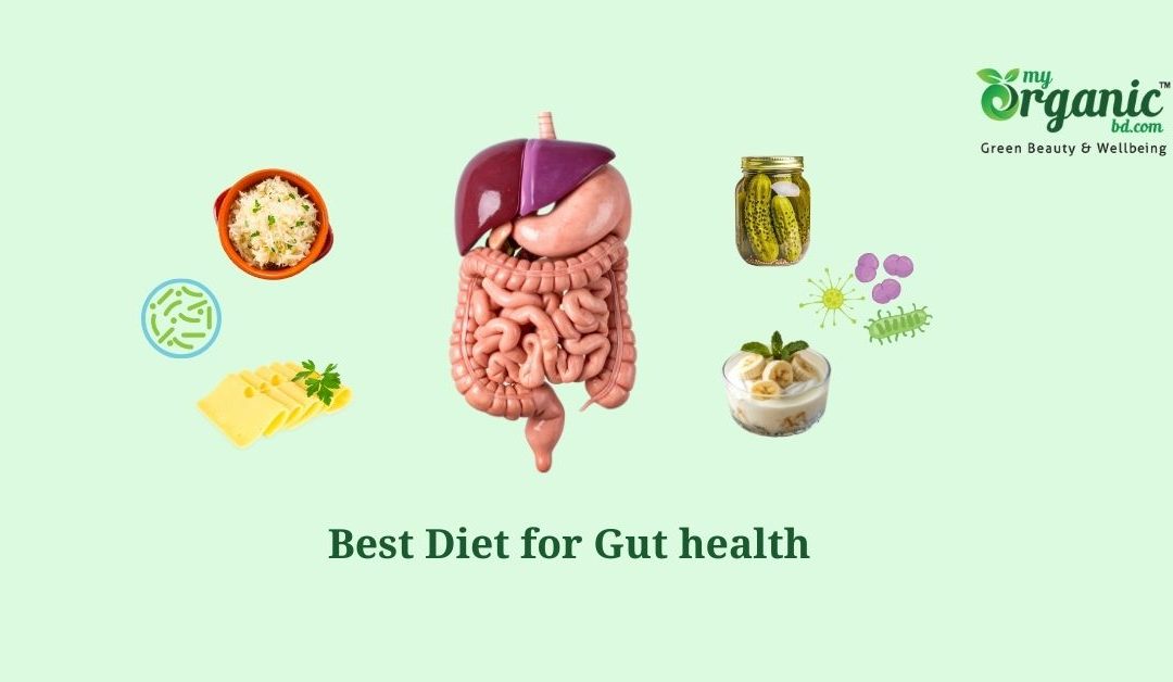 Best Diet for Gut health : Foods & Supplements to Improve Your Gut
