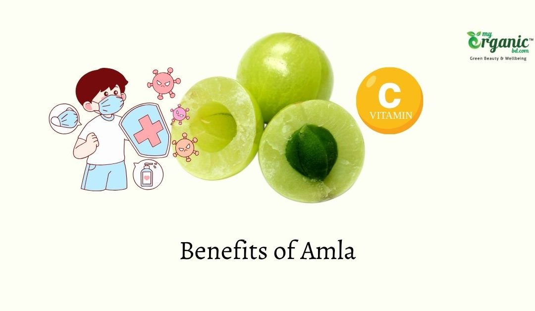 Amla (Indian Gooseberry): 10 Health Benefits