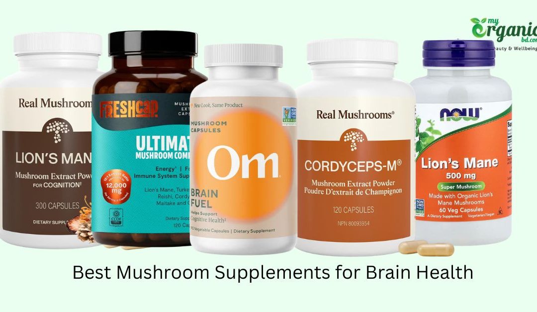 Best Mushroom Supplements for Brain Health: Focus & Memory