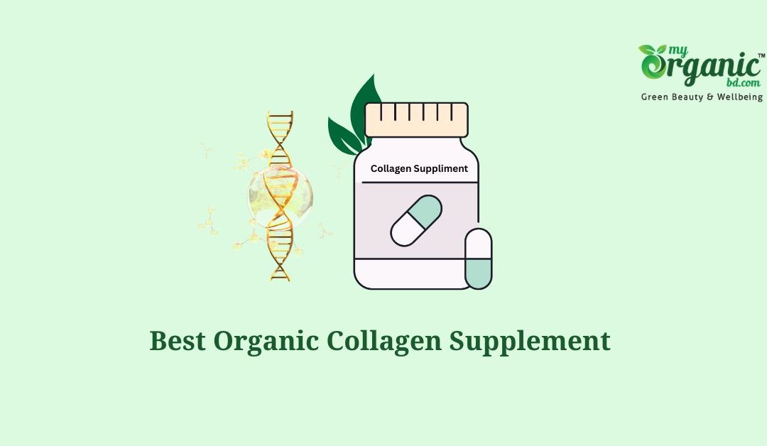 Best Organic Collagen Supplement USA: Don’t Buy before Reading