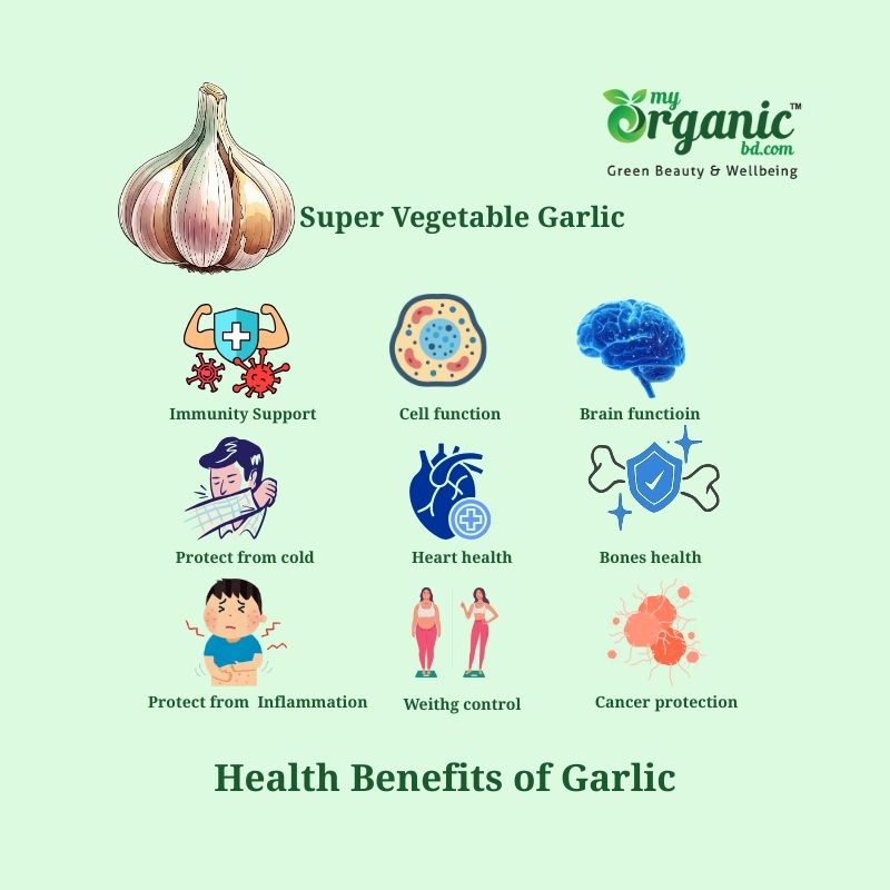 Garlic The Bright Bulb: Nutrition, Health Benefits & More 4 What Are The Proven Health Benefits Of Super Vegetable Garlic?
