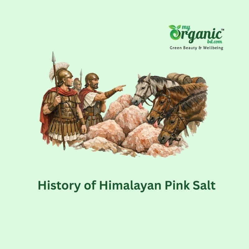 Himalayan Pink Salt, The Hidden Gem: Nutrients, Health benefits, Uses and More 2 History Of Himalayan Pink Salt (1)
