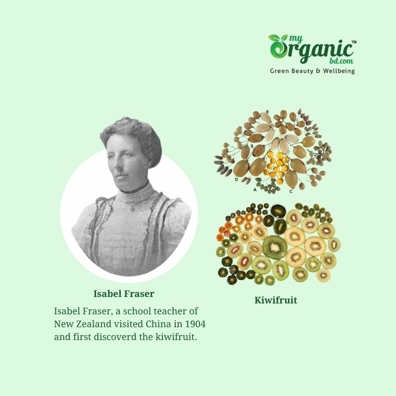 History Of Kiwifruit