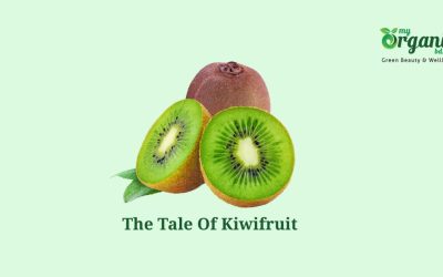 The Tale Of Kiwifruit: Nutrients, Wellness Benefits And More