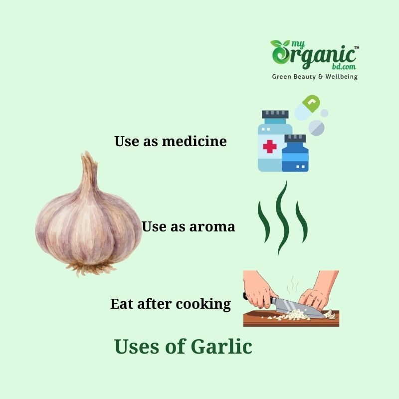 Garlic The Bright Bulb: Nutrition, Health Benefits & More 6 What Are The Uses Of Garlic?