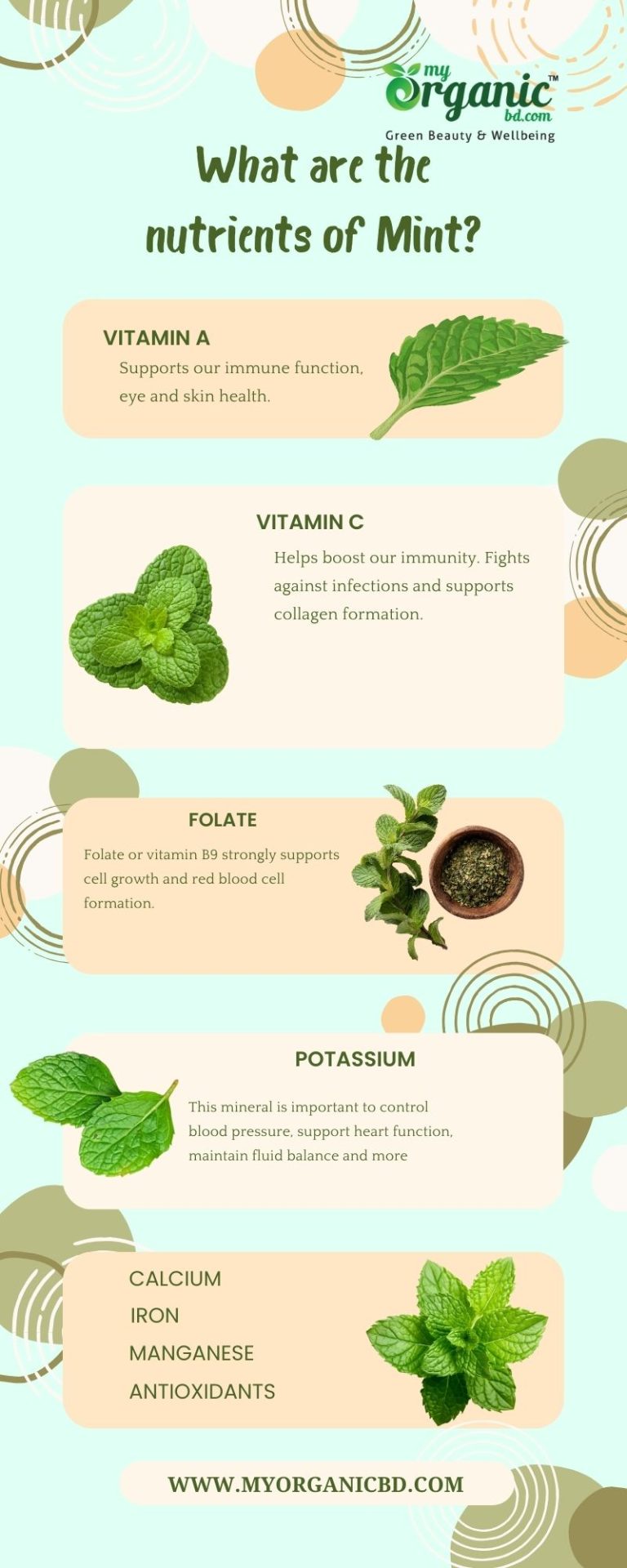 The Mighty Mint : Nutrients, Health benefits, Uses and More 1 What Are The Nutrients Of Mint