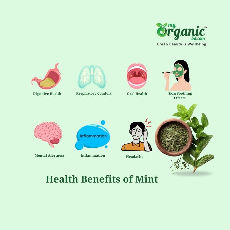 The Mighty Mint : Nutrients, Health benefits, Uses and More 2 What Are The Proven Health Benefits Of Mint